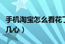 手机淘宝怎么看花了多少钱（手机淘宝怎么看几心）