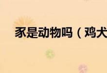 豕是动物吗（鸡犬豕这个豕是什么动物）