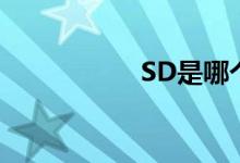 SD是哪个军区的车牌