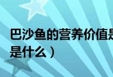 巴沙鱼的营养价值是什么（巴沙鱼的营养价值是什么）