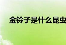 金铃子是什么昆虫（金铃子长什么样子）