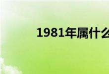 1981年属什么（十二生肖简介）