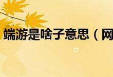端游是啥子意思（网上说的端游是什么意思）