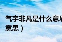 气宇非凡是什么意思（气势非凡中的非是什么意思）