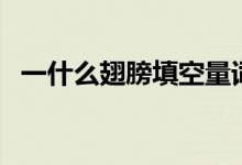 一什么翅膀填空量词填三个（一什么翅膀）