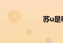 苏u是哪里的车牌