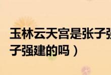 玉林云天宫是张子强建的吗（玉林云天宫是张子强建的吗）