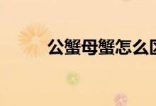 公蟹母蟹怎么区分(公蟹有膏吗)