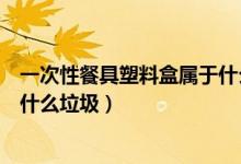 一次性餐具塑料盒属于什么垃圾（一次性发泡塑料餐盒属于什么垃圾）