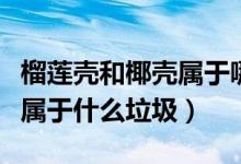 榴莲壳和椰壳属于哪类垃圾（榴莲壳和椰子壳属于什么垃圾）