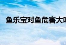 鱼乐宝对鱼危害大吗（鱼乐宝对鱼有害吗）