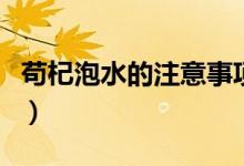 苟杞泡水的注意事项（喝苟杞泡水要注意什么）