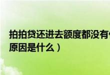 拍拍贷还进去额度都没有什么原因（拍拍贷有额度借不出来原因是什么）
