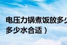 电压力锅煮饭放多少水合适（电压力锅煮饭放多少水合适）