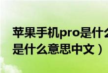 苹果手机pro是什么意思中文（苹果手机pro是什么意思中文）