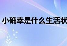 小确幸是什么生活状态（小确幸是什么意思）