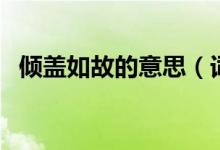 倾盖如故的意思（词语倾盖如故什么意思）