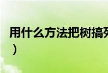 用什么方法把树搞死（把树弄死的最快方法是）