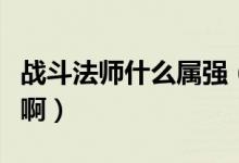 战斗法师什么属强（战斗法师到底堆什么属性啊）