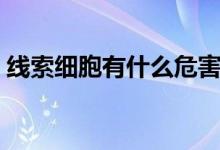线索细胞有什么危害（万一出现后果很严重）