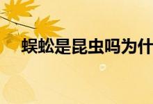 蜈蚣是昆虫吗为什么（蜈蚣是昆虫类吗）