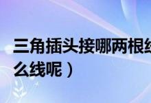 三角插头接哪两根线（三角插头分别接的是什么线呢）