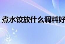 煮水饺放什么调料好吃（煮水饺放什么调料）