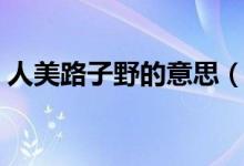 人美路子野的意思（人美路子野是什么意思）