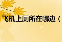 飞机上厕所在哪边（飞机上厕所在什么位置）
