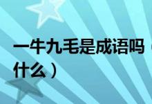 一牛九毛是成语吗（成语接龙九牛一毛后面是什么）