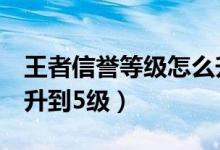 王者信誉等级怎么升7星（王者信誉等级怎么升到5级）