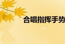 合唱指挥手势教程（该怎么做）