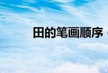 田的笔画顺序（田字的笔顺简介）