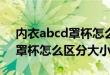 内衣abcd罩杯怎么区分大小34（内衣abcd罩杯怎么区分大小）