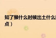 知了猴什么时候出土什么时候结束（知了猴什么时候出土几点）
