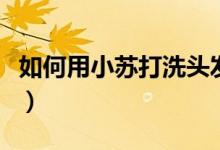 如何用小苏打洗头发（如何用小苏打洗白衣服）