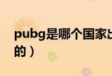 pubg是哪个国家出品的（pubg是哪个国家的）