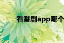 看番剧app哪个最好（看番啥意思）