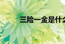 三险一金是什么（三险一金解释）