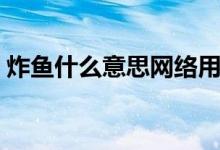 炸鱼什么意思网络用语（炸鱼什么意思网络）