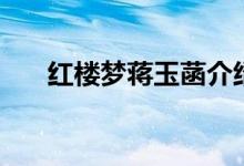 红楼梦蒋玉菡介绍（他的资料是什么）