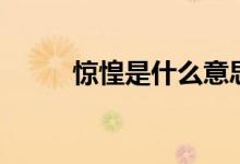 惊惶是什么意思（惊惶怎样解释）