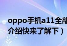 oppo手机a11全部参数（这里有详细的参数介绍快来了解下）