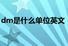 dm是什么单位英文（dm是什么单位的名称）