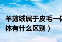羊剪绒属于皮毛一体吗（羊剪绒大衣与皮毛一体有什么区别）