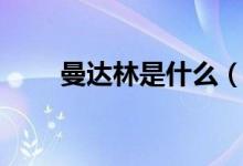 曼达林是什么（曼达林是什么意思）