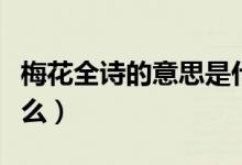 梅花全诗的意思是什么（梅花全诗的意思是什么）