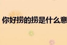 你好捞的捞是什么意思（有点捞是什么意思）