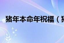 猪年本命年祝福（猪年本命年祝福的话语）