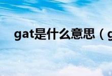 gat是什么意思（gat到了吗是什么意思）